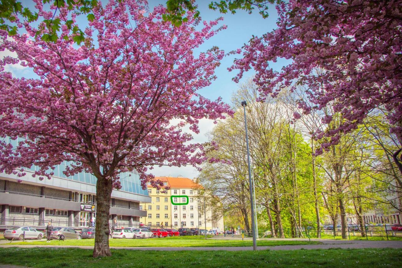 Double King Size Sunny Suite In Castle Area Prague Exterior photo